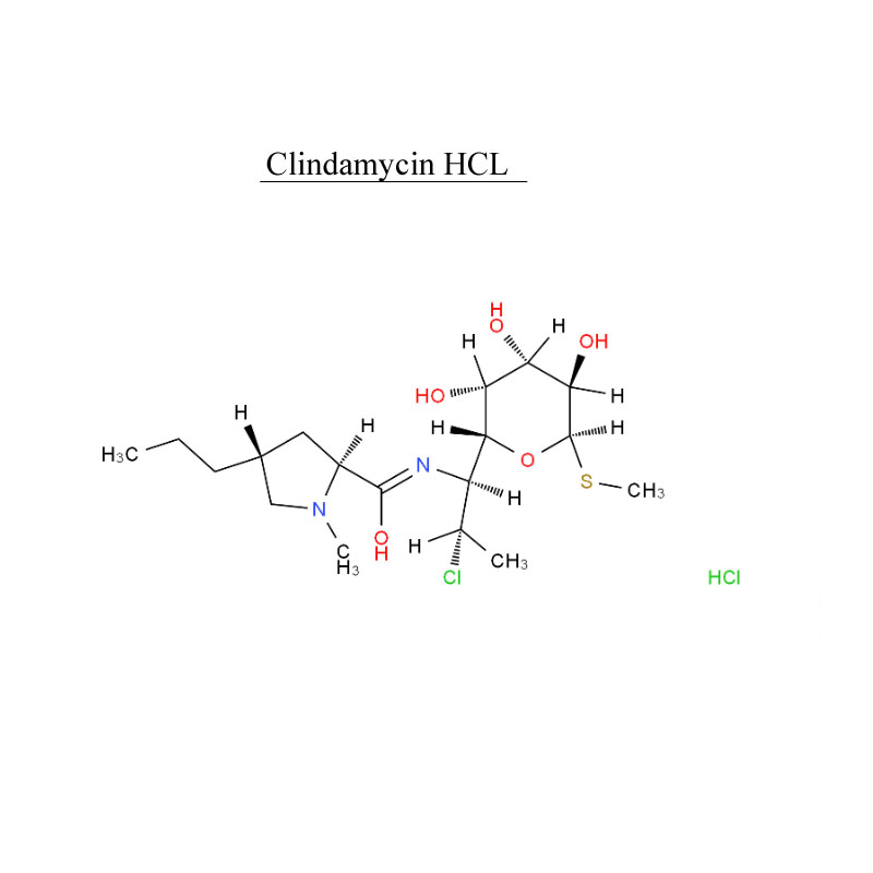 Klindamycin HCL