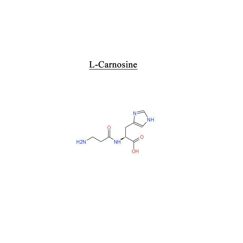 L-Karnosin